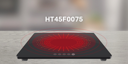 Новый полумостовой м/к HOLTEK HT45F0075  для индукционных плит второго поколения 
